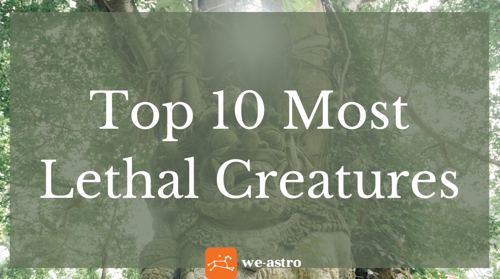 The best Mythical Creatures